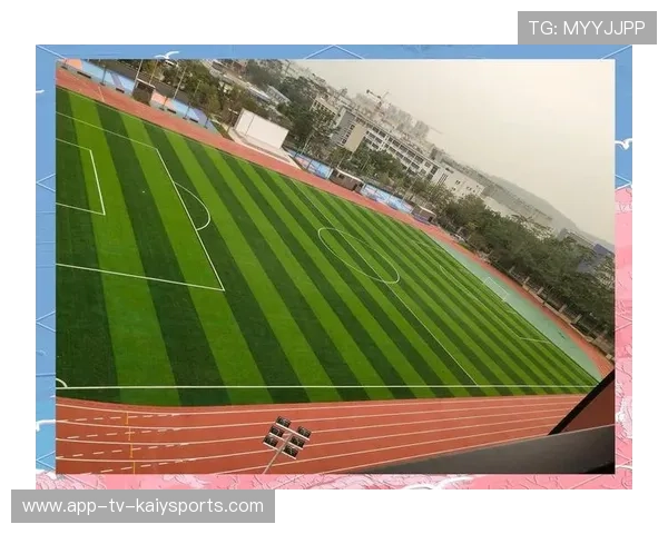 中国足球基层足球比赛设施条件差异状况与解决方案，全国足球场地设施建设规划