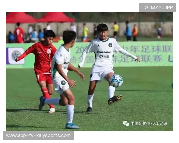 中国足球联赛监管机构政策执行与地方俱乐部合规性，中国足协监督电话